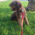 alexp_pe_arroya