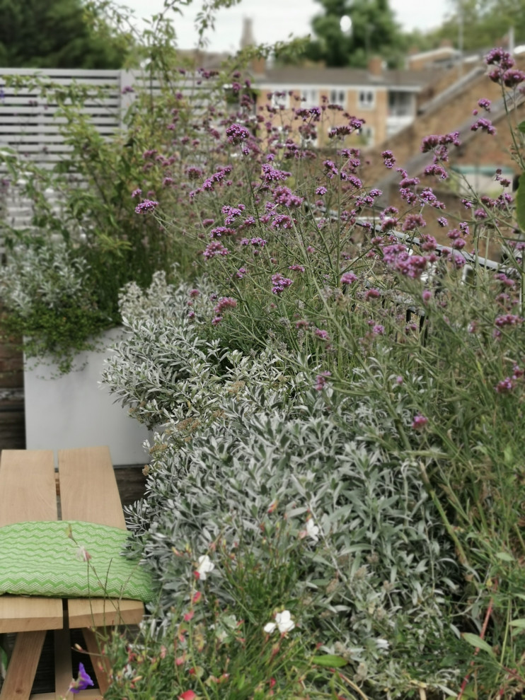 Design ideas for a mediterranean garden in London.