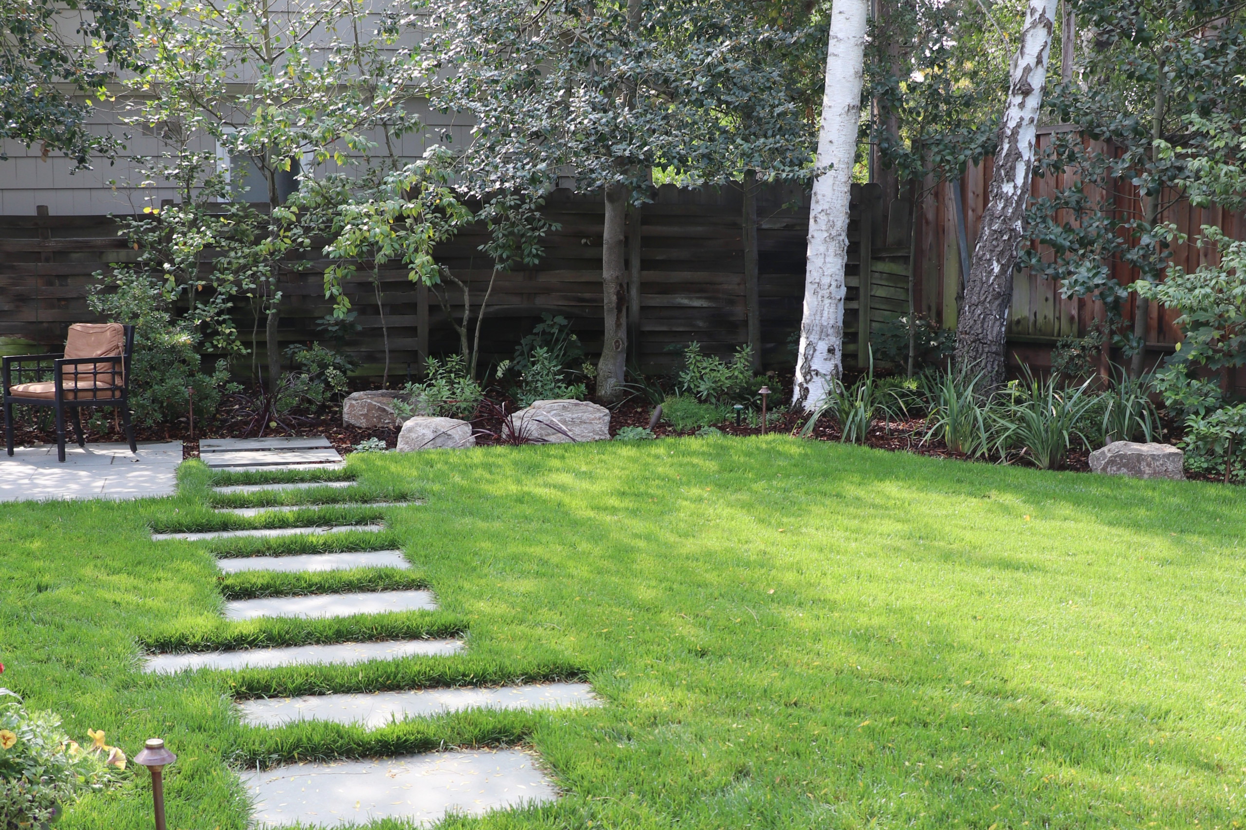 SWEDISH FLAME IN WOODS