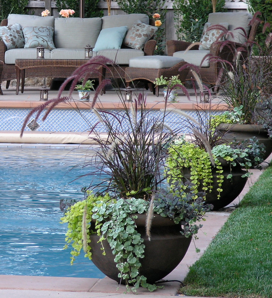This is an example of an eclectic pool in San Francisco.