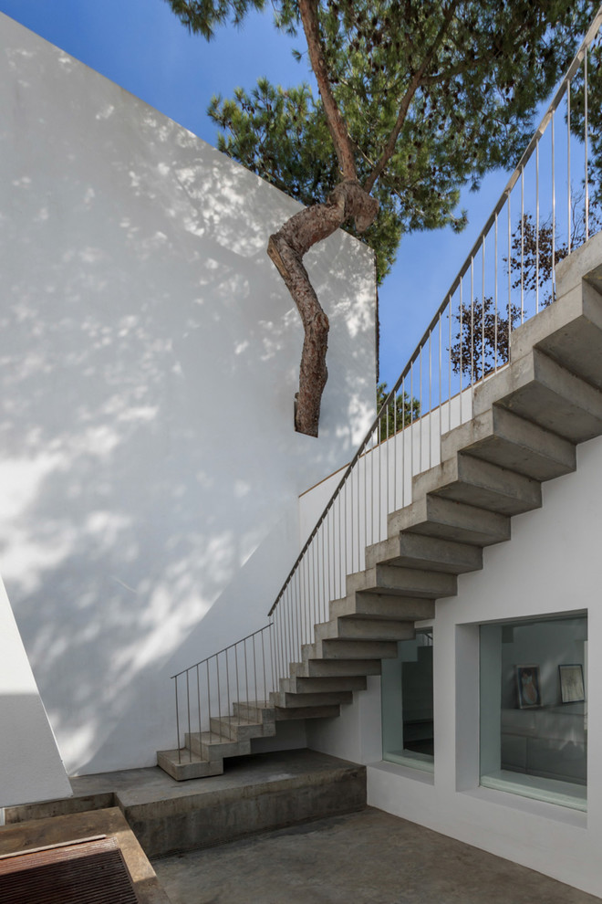 Imagen de patio actual de tamaño medio sin cubierta en patio con jardín vertical y losas de hormigón