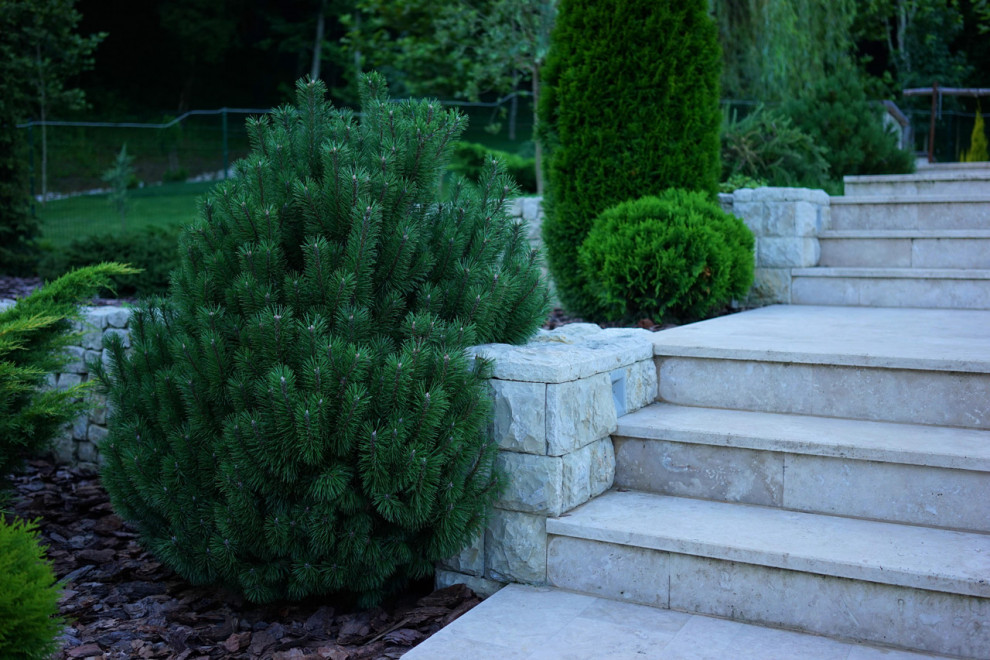 Лазурный Берег Сочи