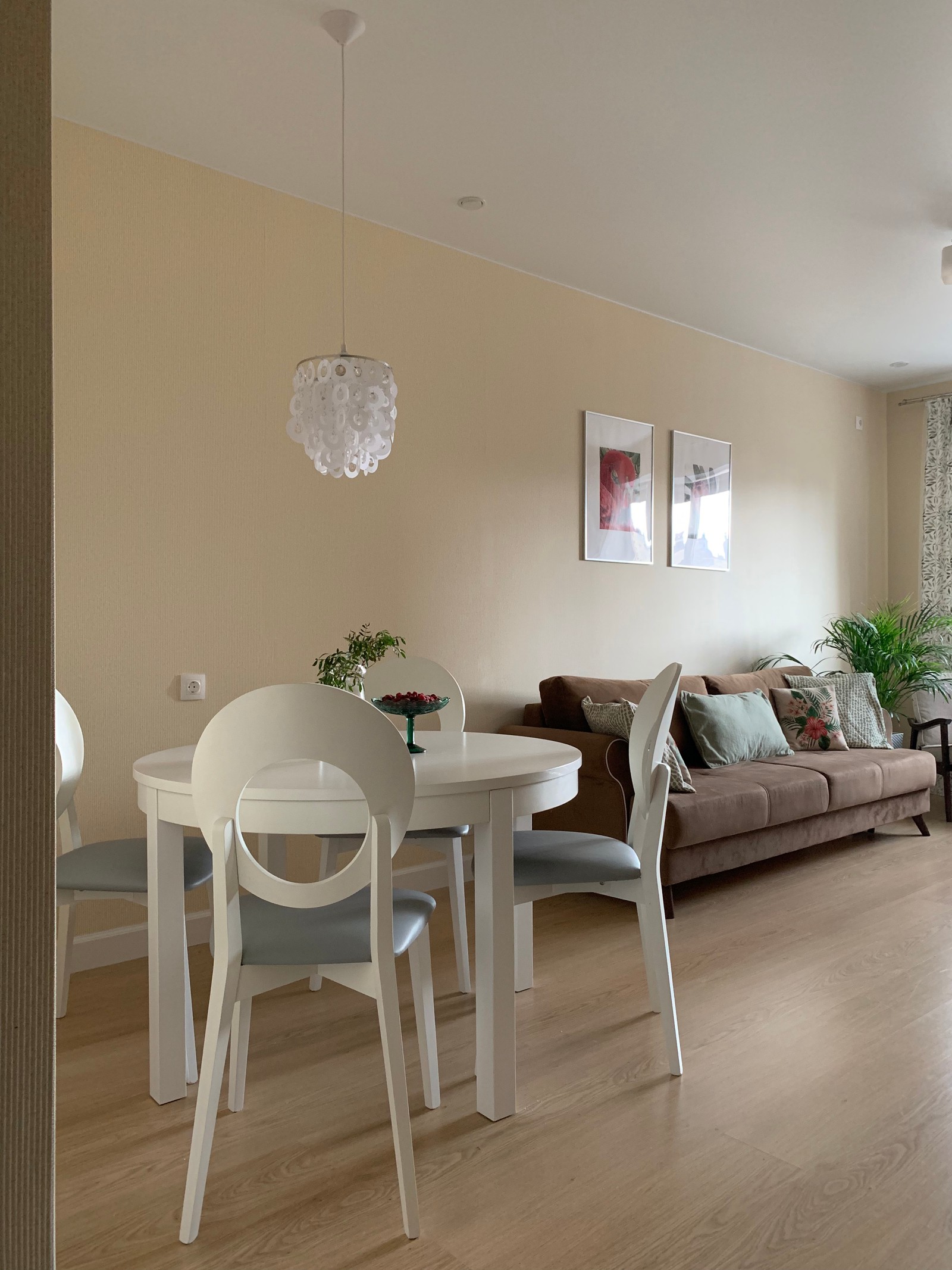 Там, где живут фламинго