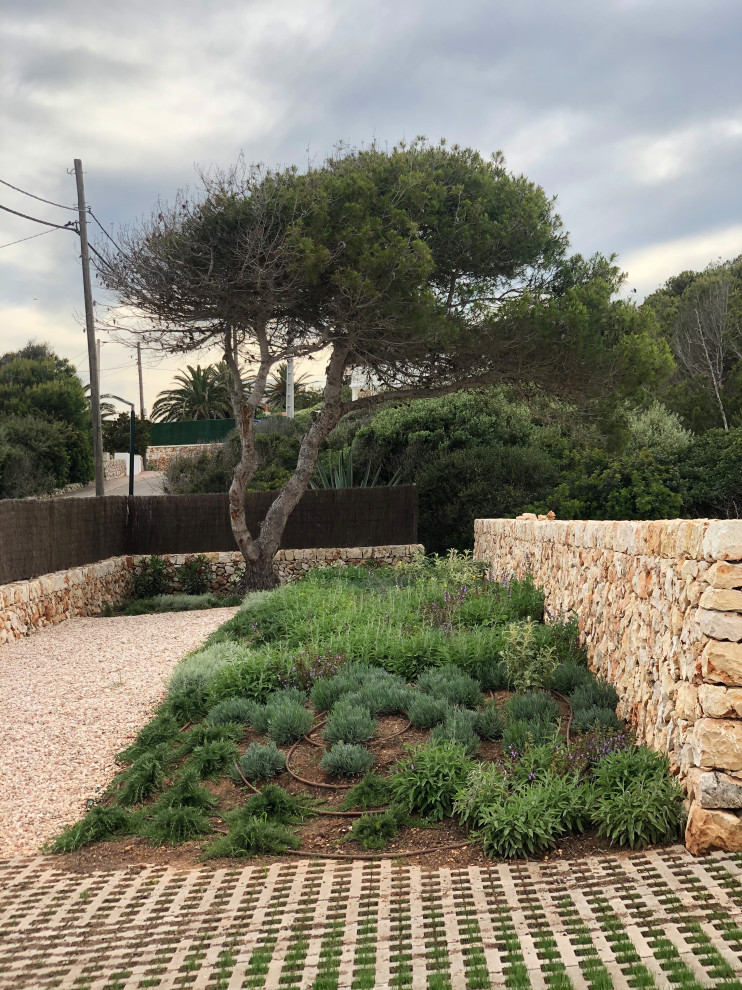 Réalisation d'un grand jardin avant méditerranéen avec une exposition ensoleillée, des pavés en béton et une clôture en pierre.