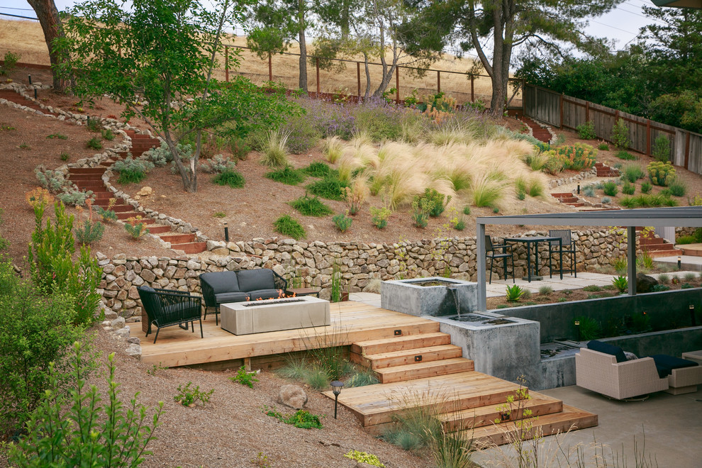 This is an example of a contemporary backyard garden in San Francisco.