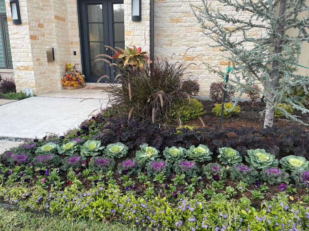 Dallas Residential Landscape