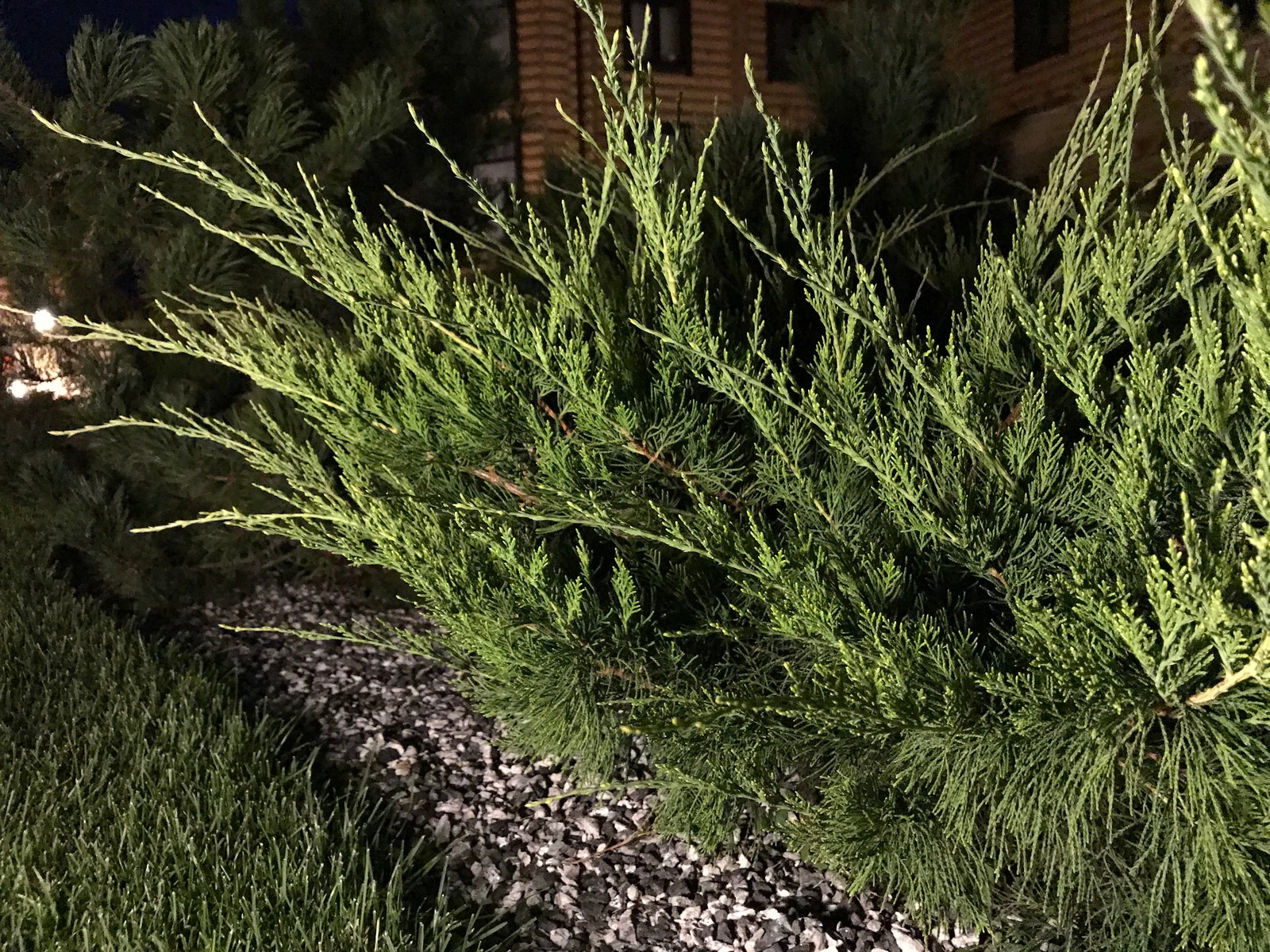 Легкий фьюжн 0.25 га