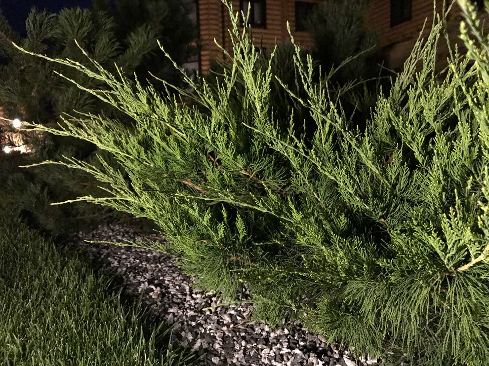 Легкий фьюжн 0.25 га