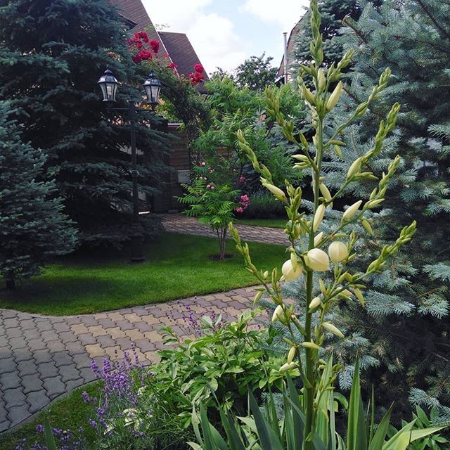 Дизайн маленького участка