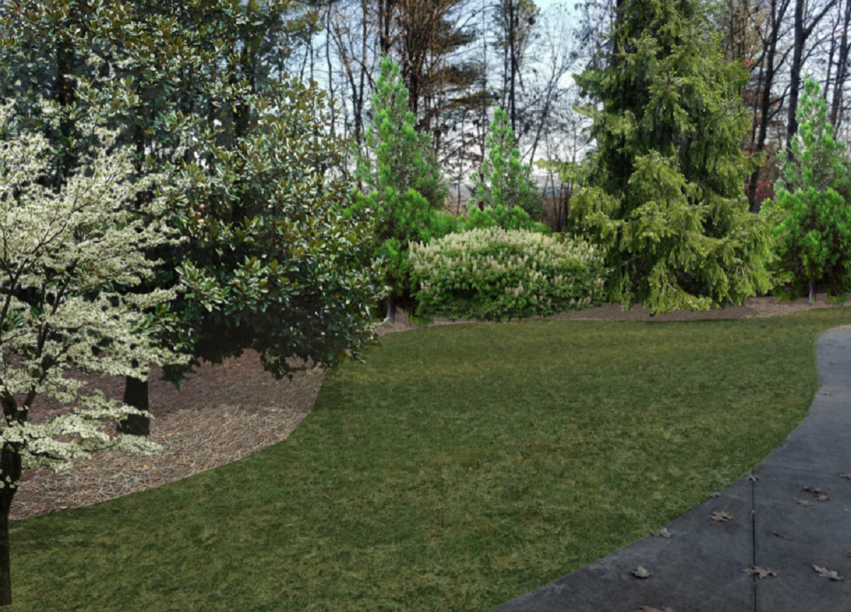 Before/After