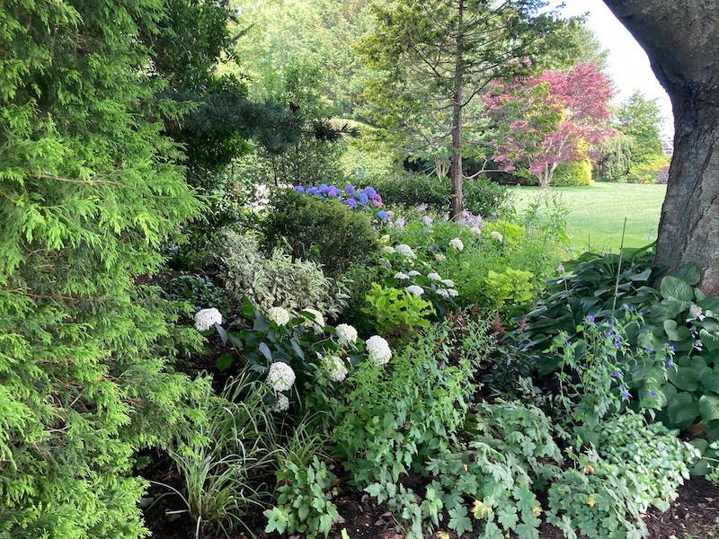 Sagaponack, Backyard pool side garden