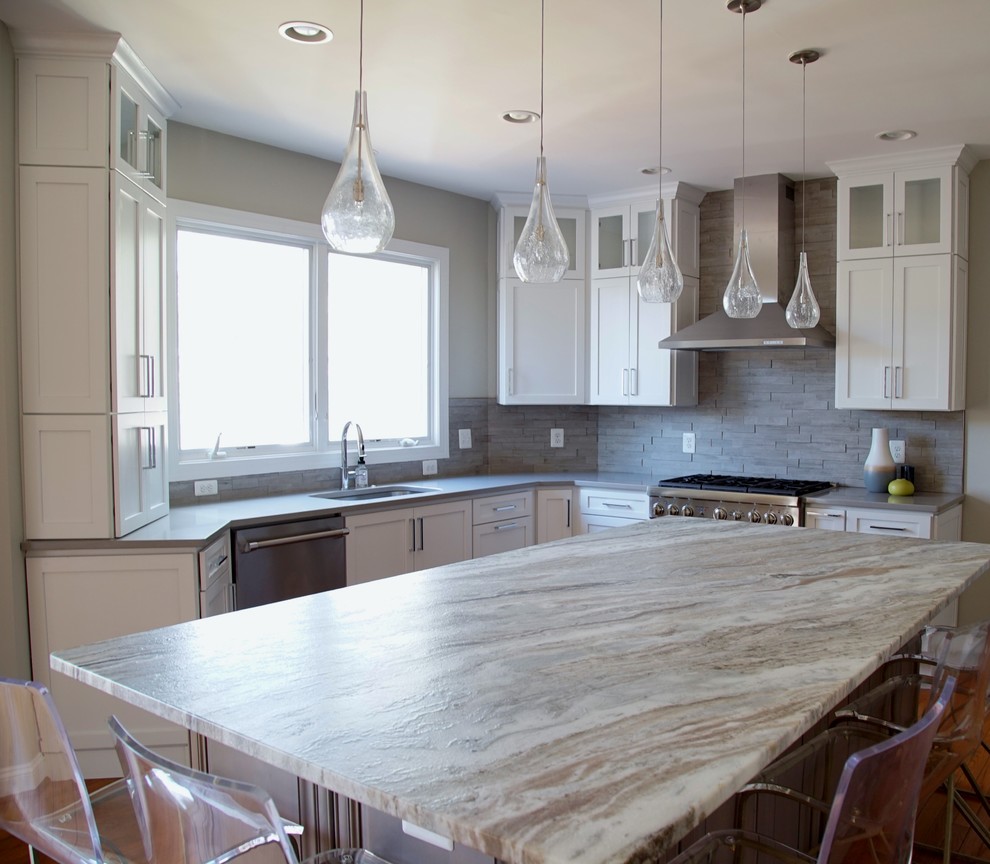 Transitional home design photo in DC Metro