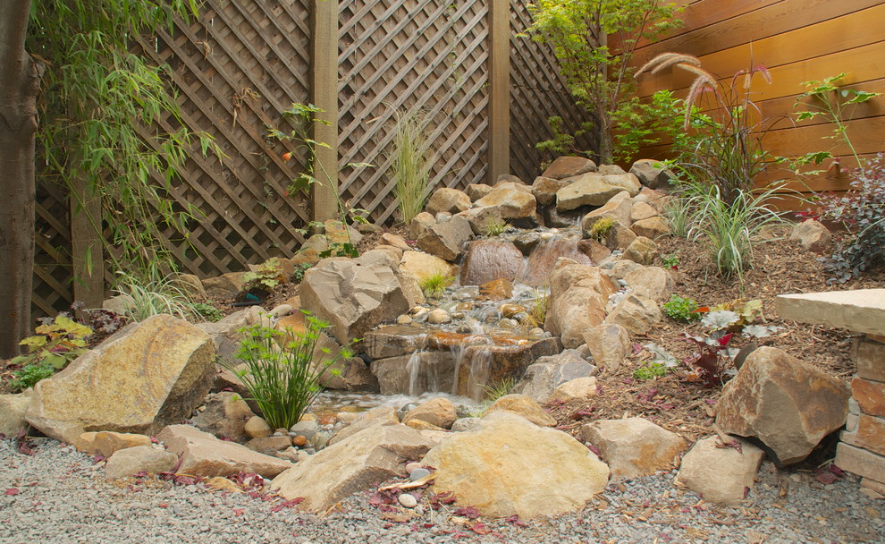 This is an example of a mid-sized traditional backyard full sun garden in San Francisco with mulch.
