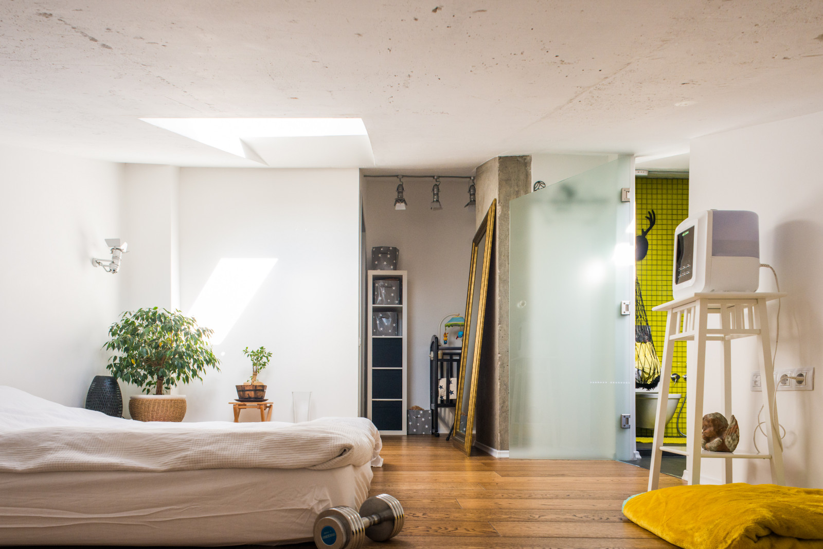 Мансарда на Дмитровке