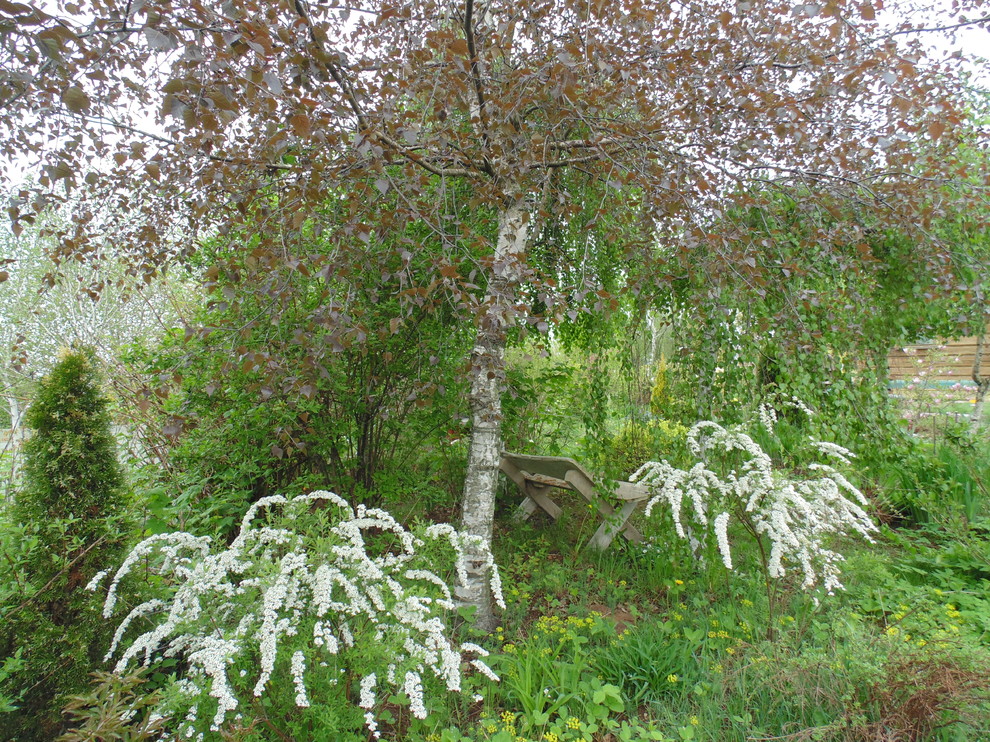 Наш собственный сад