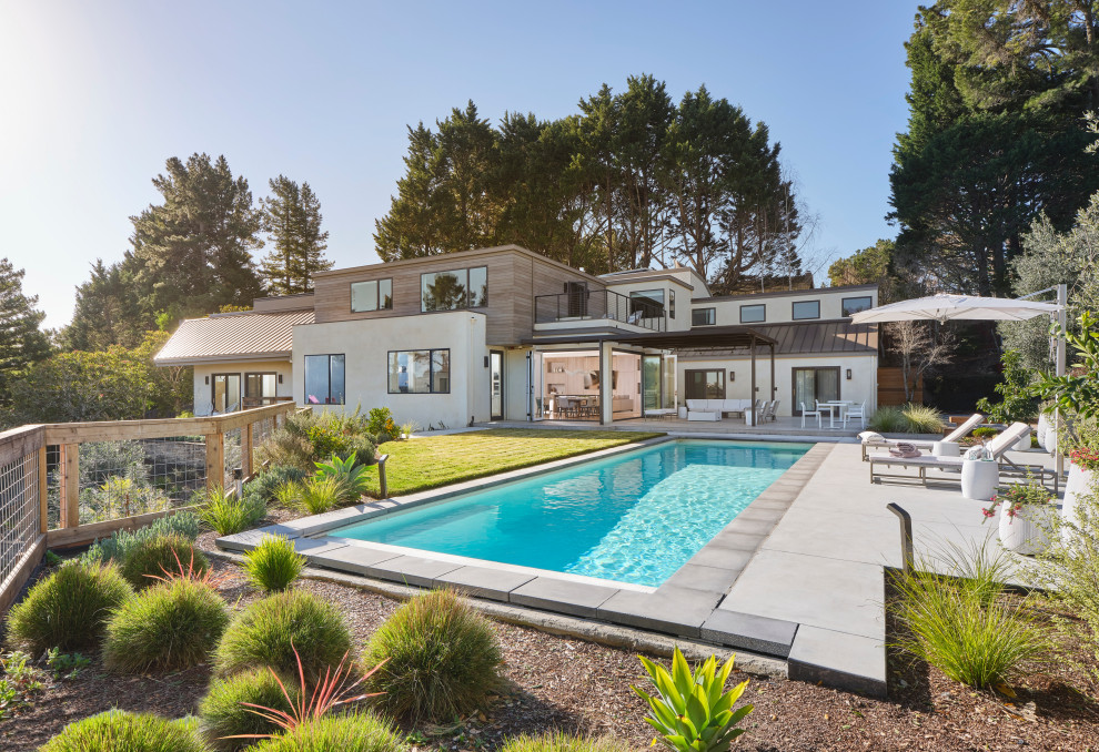 Mercat Place - Contemporary - Pool - San Francisco - by TRG ...