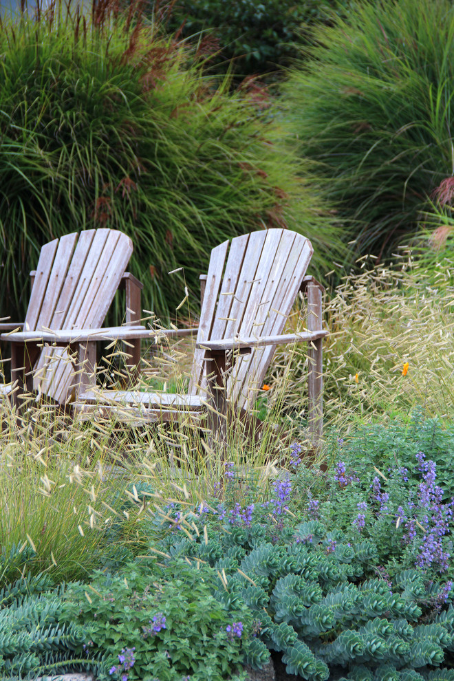 This is an example of a coastal backyard landscaping in Seattle.