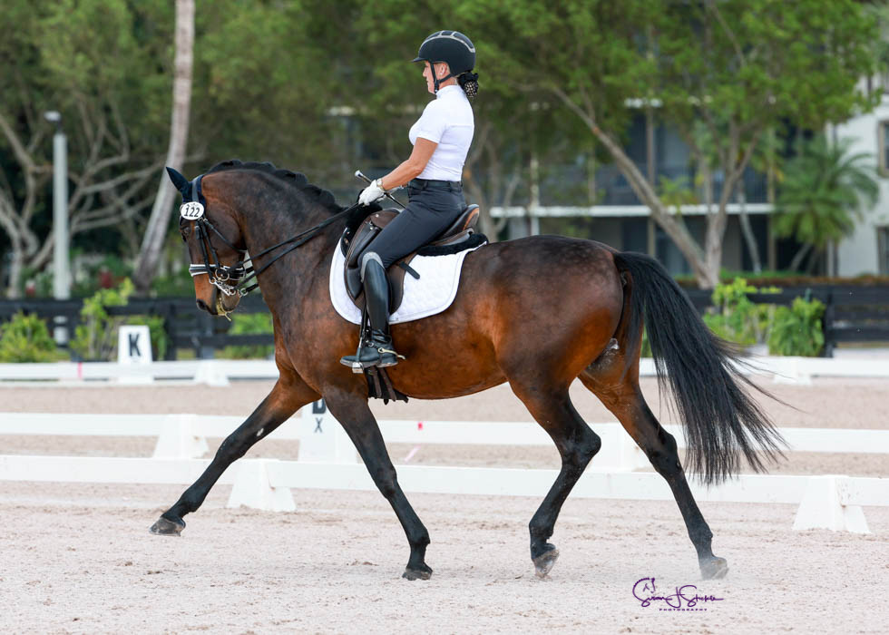 Deann Hammer, owner of Broadway Design is a competitive Dressage equestrian