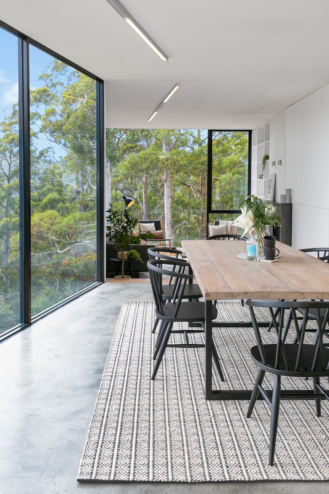 Large contemporary open plan dining in Hobart with concrete floors.