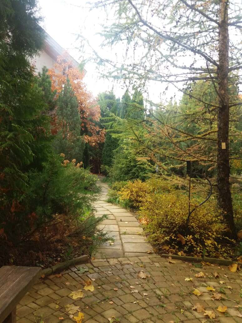 Ландшафтный дизайн участка с САДОМ ГОРТЕНЗИЙ