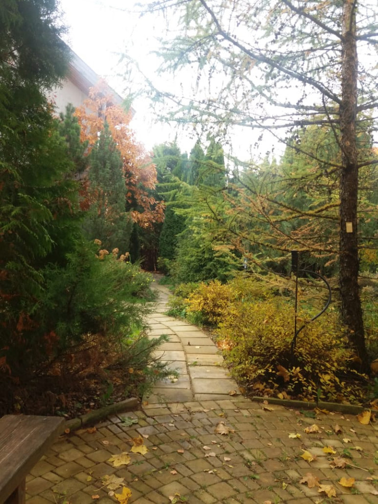 Ландшафтный дизайн участка с САДОМ ГОРТЕНЗИЙ