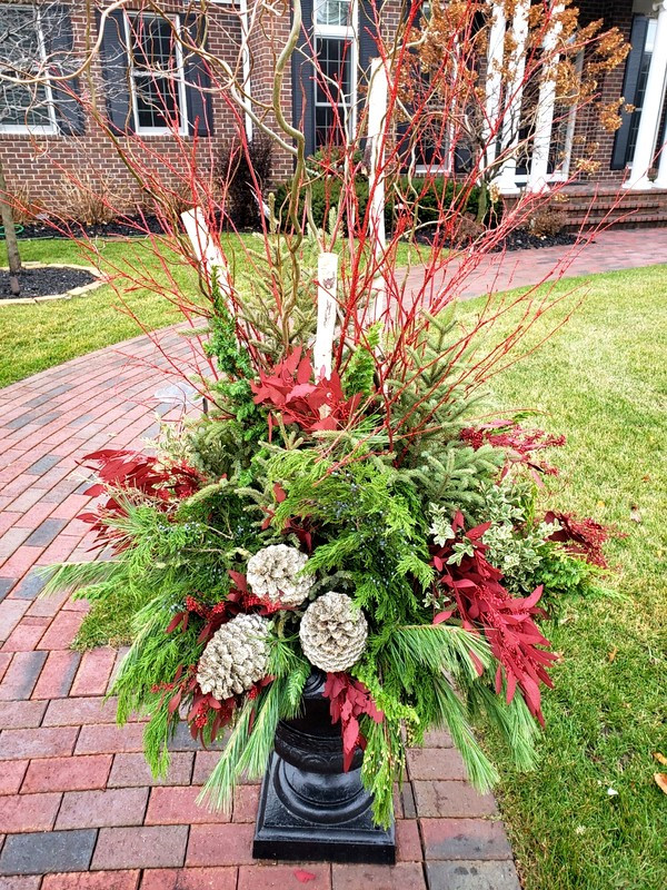 Inspiration for a mid-sized front yard full sun garden for winter in Minneapolis with a container garden.