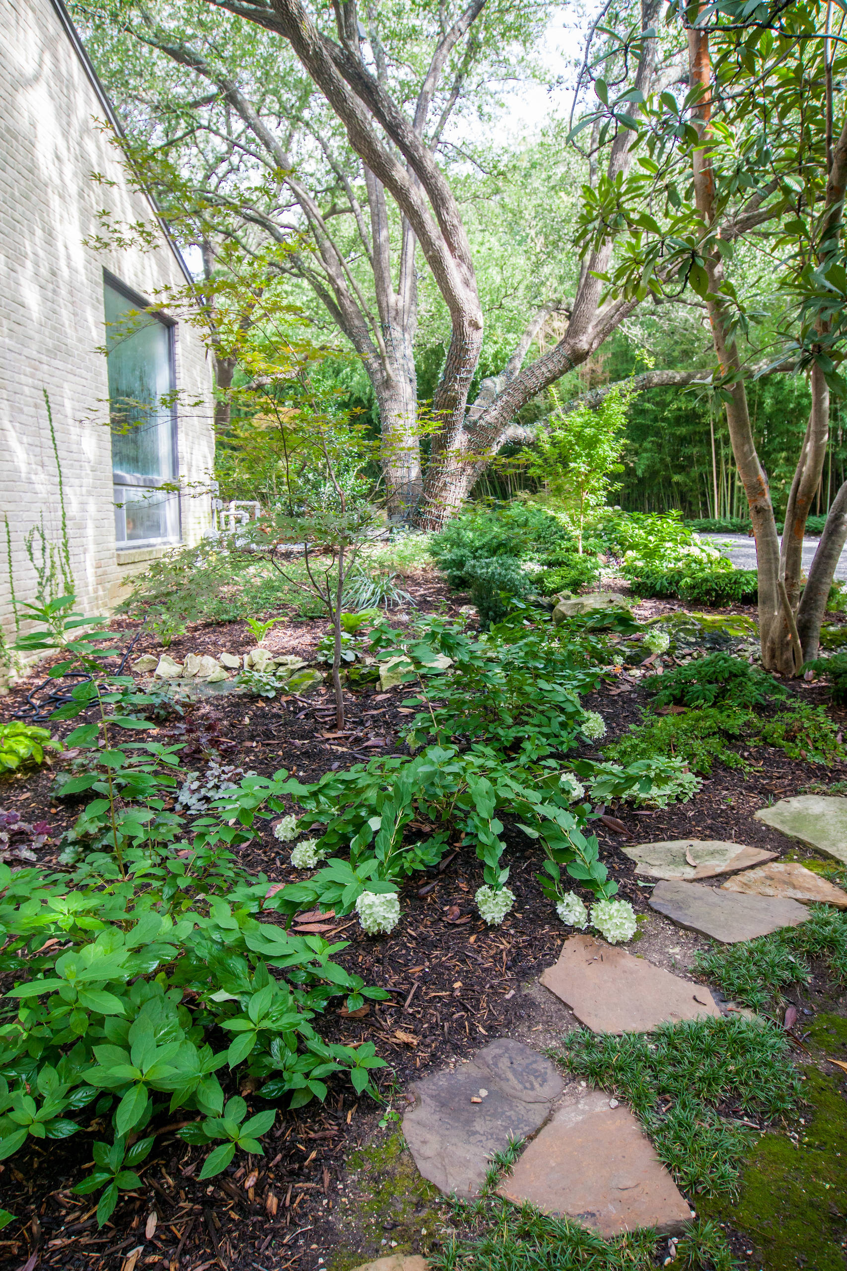 9 Beautiful Shady Yards Overflow With Lush Plantings, image size:1706x2560