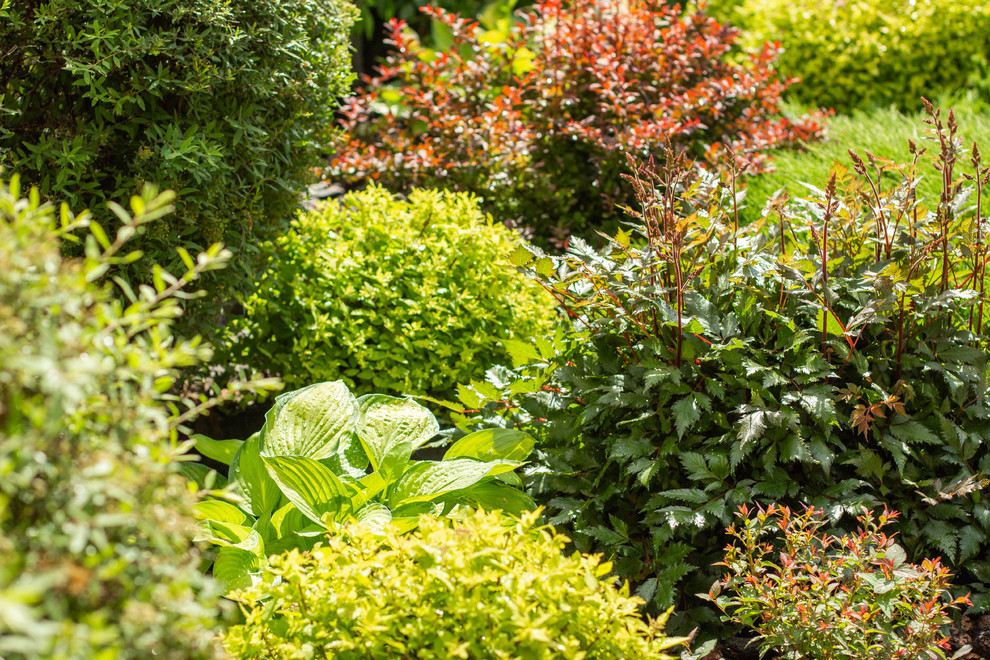 Сад с зеленой крышей