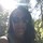 webuser_747293529