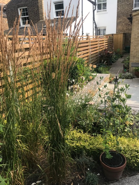Dulwich re-shape jardin
