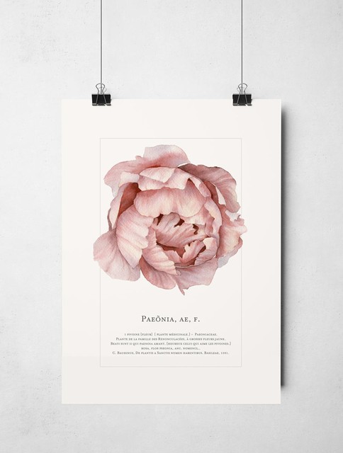 Paeonia Poster modern-wandteppiche