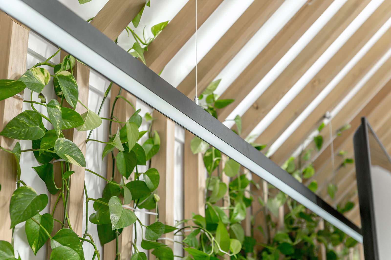 Переделка мансарды для программы Дачный Ответ