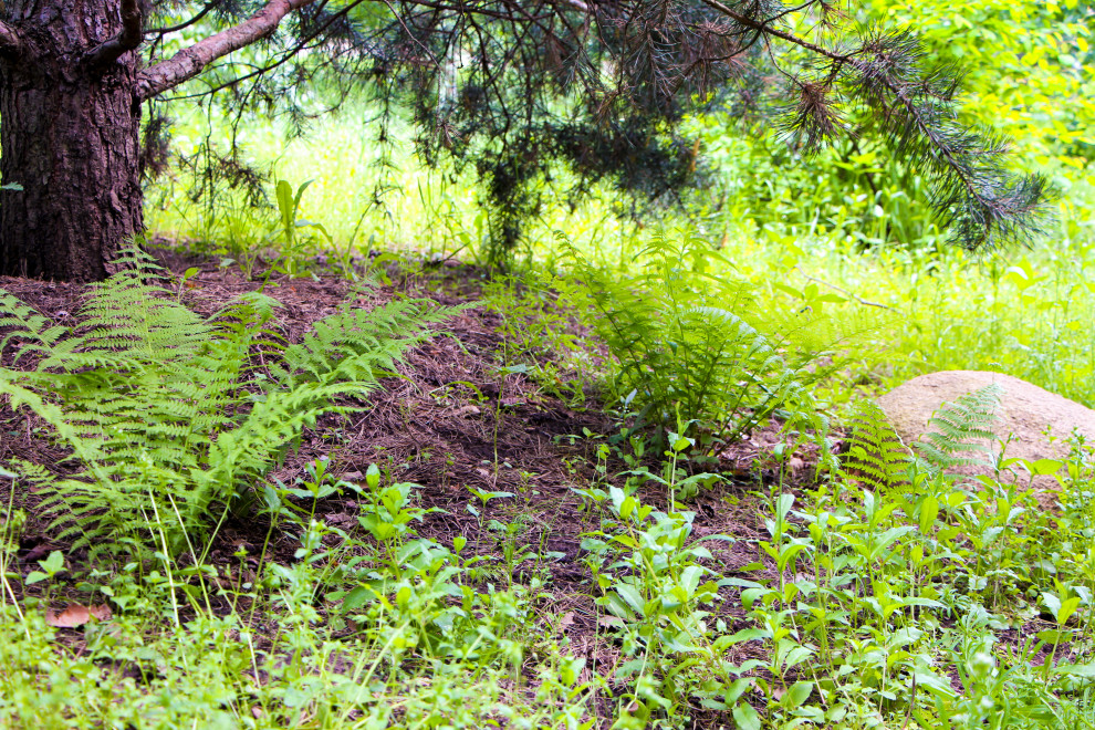 Лобаново, 2012-2021 гг.