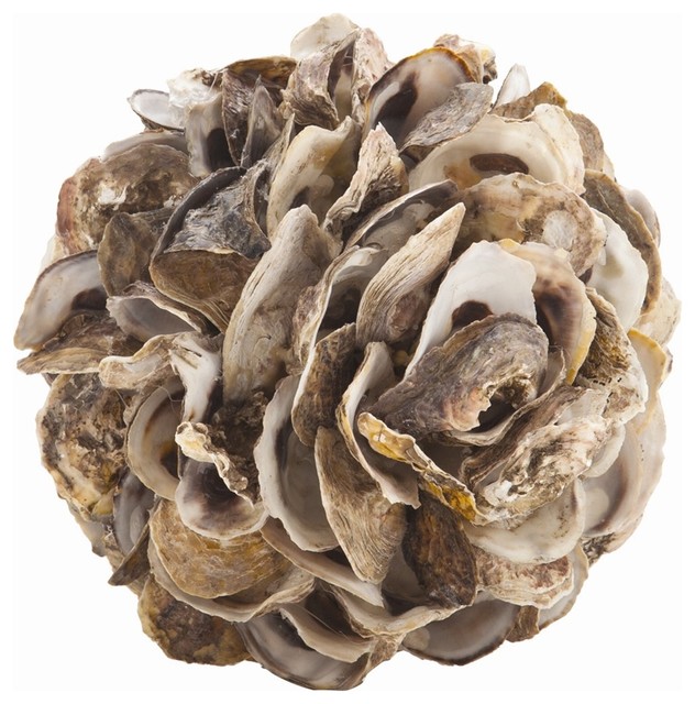 Arteriors 5417 Kosta Small Authentic Oyster Shell Sculpture