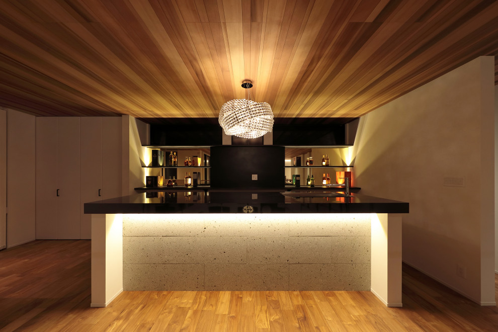 Design ideas for a modern home bar in Other with medium hardwood flooring, brown floors and black worktops.