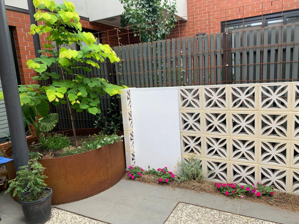 Design ideas for a small contemporary backyard full sun garden for spring in Melbourne with with flowerbed, concrete pavers and a metal fence.