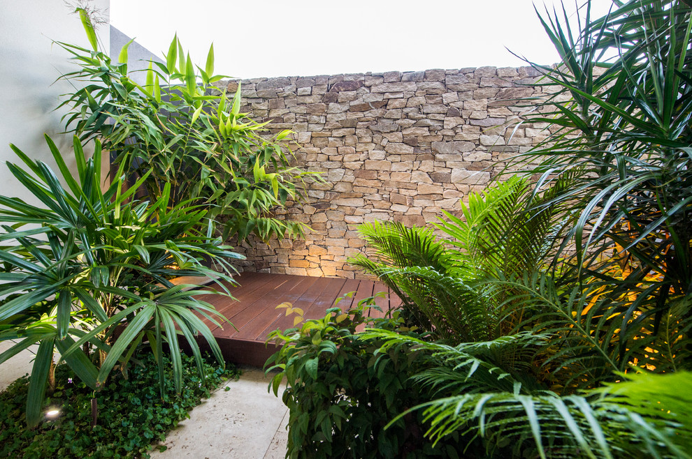 This is an example of a tropical garden in Perth.