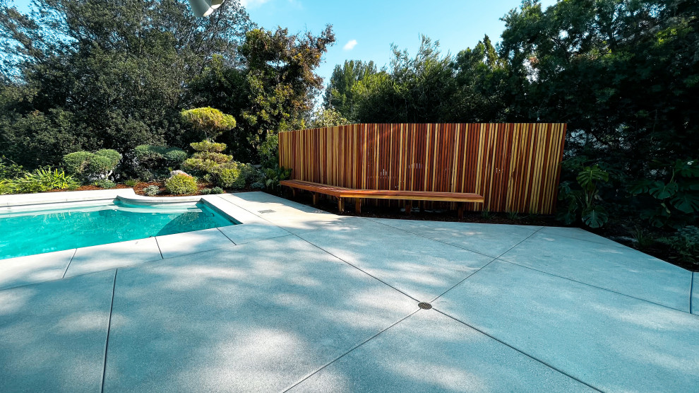 Свежая идея для дизайна: солнечный, летний засухоустойчивый сад среднего размера на заднем дворе в стиле ретро с пустынными растениями, хорошей освещенностью, мощением тротуарной плиткой и с деревянным забором - отличное фото интерьера