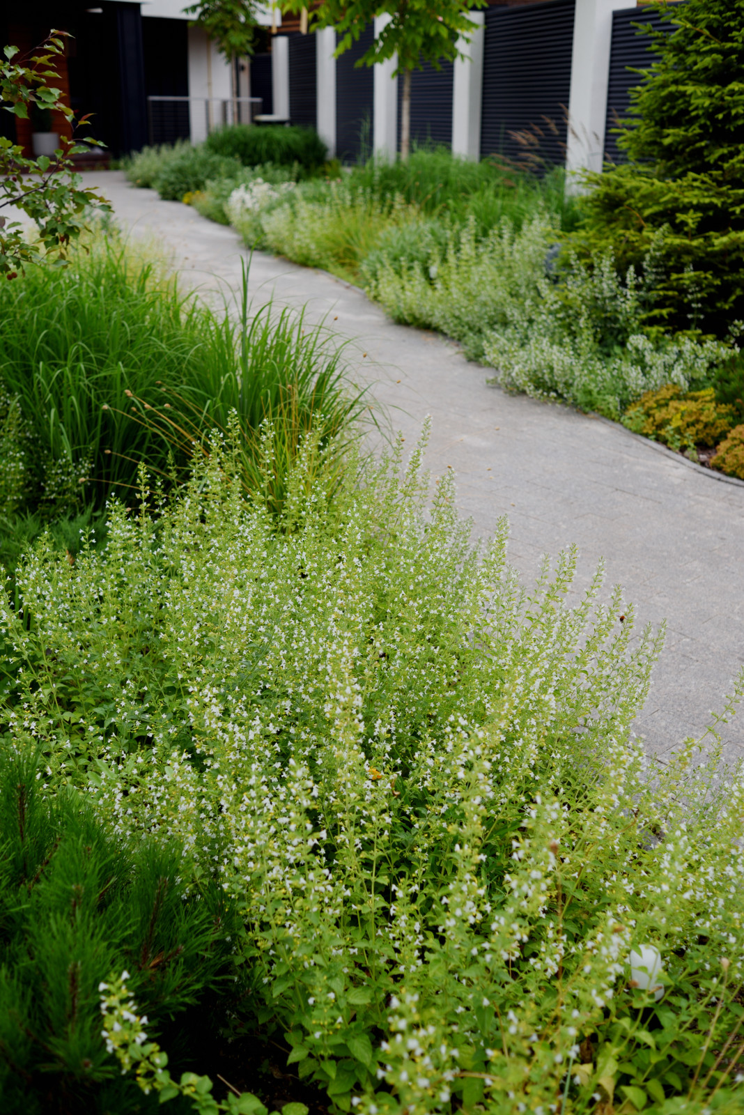 Сад с видом на Волгу