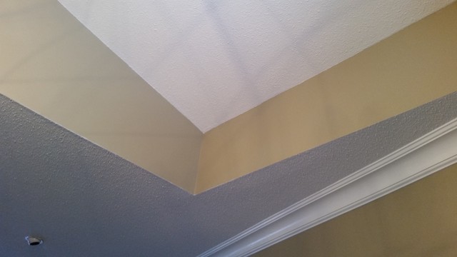 Ceiling Repaint 