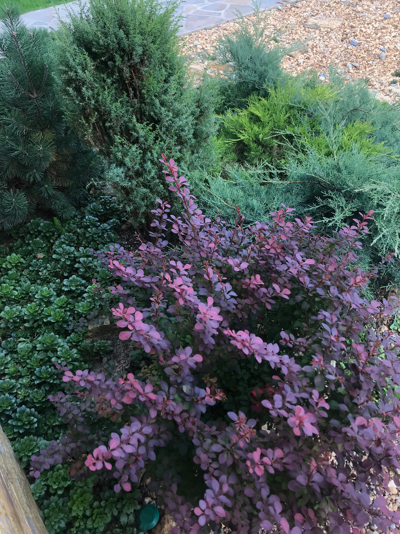 Садовый минимализм