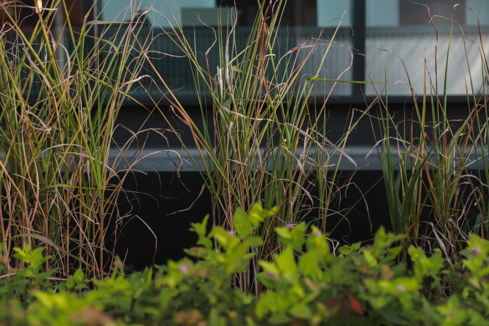 Оформление территории у офисного здания