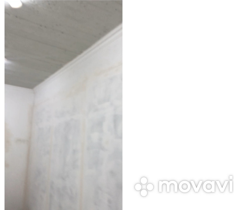 Movavi_Clips_Video_12.mp4