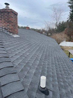 New Roof and Re Plywood
