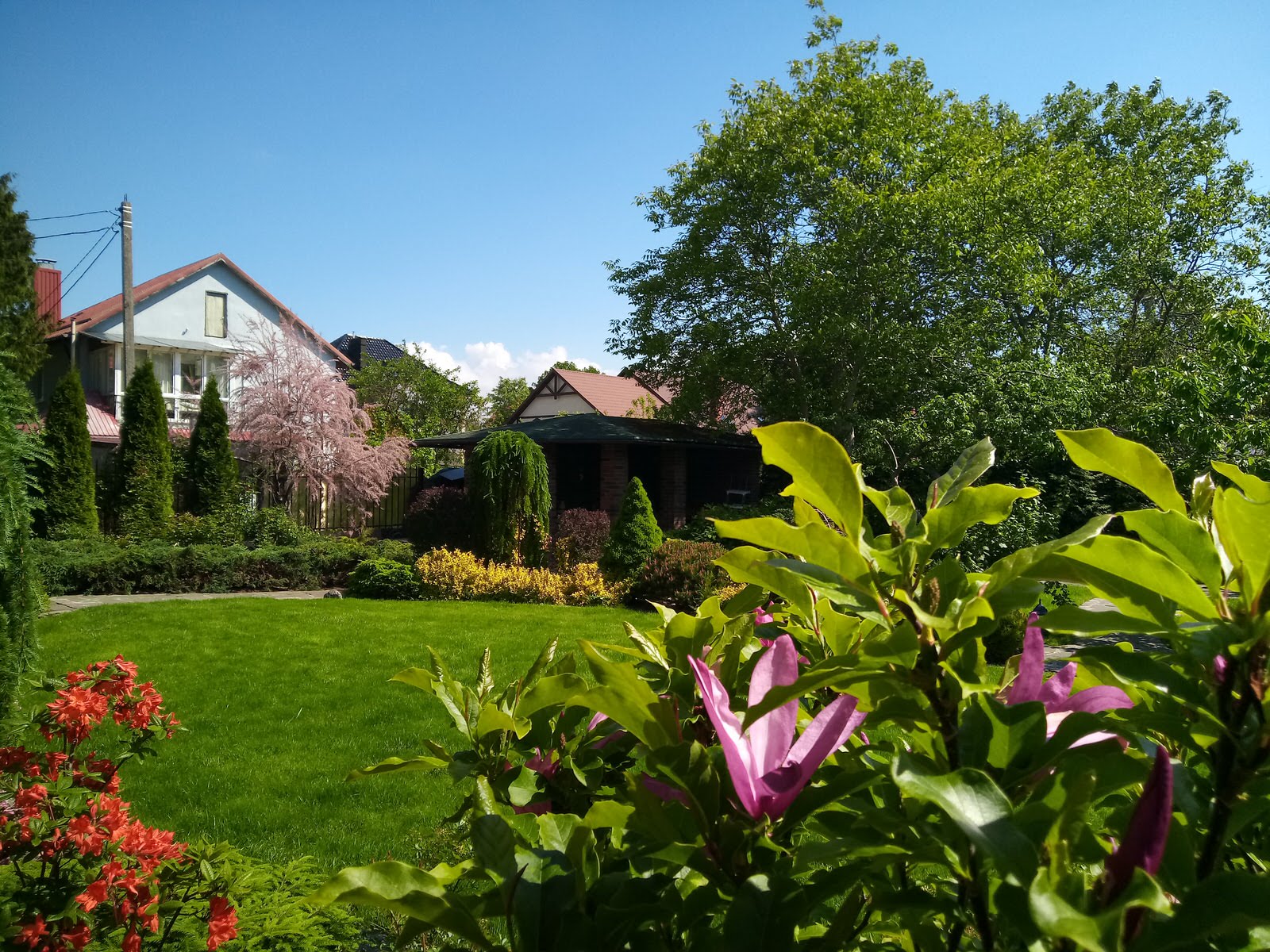 Уход за растениями г. Калининград