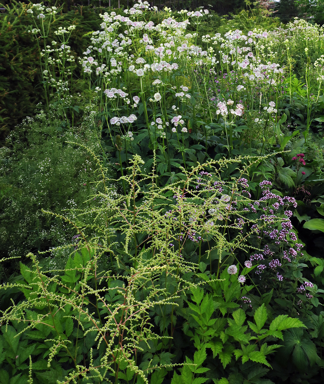 Сад с геометричным водоемом