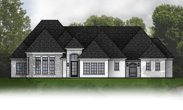 Transitional Elevation transitional