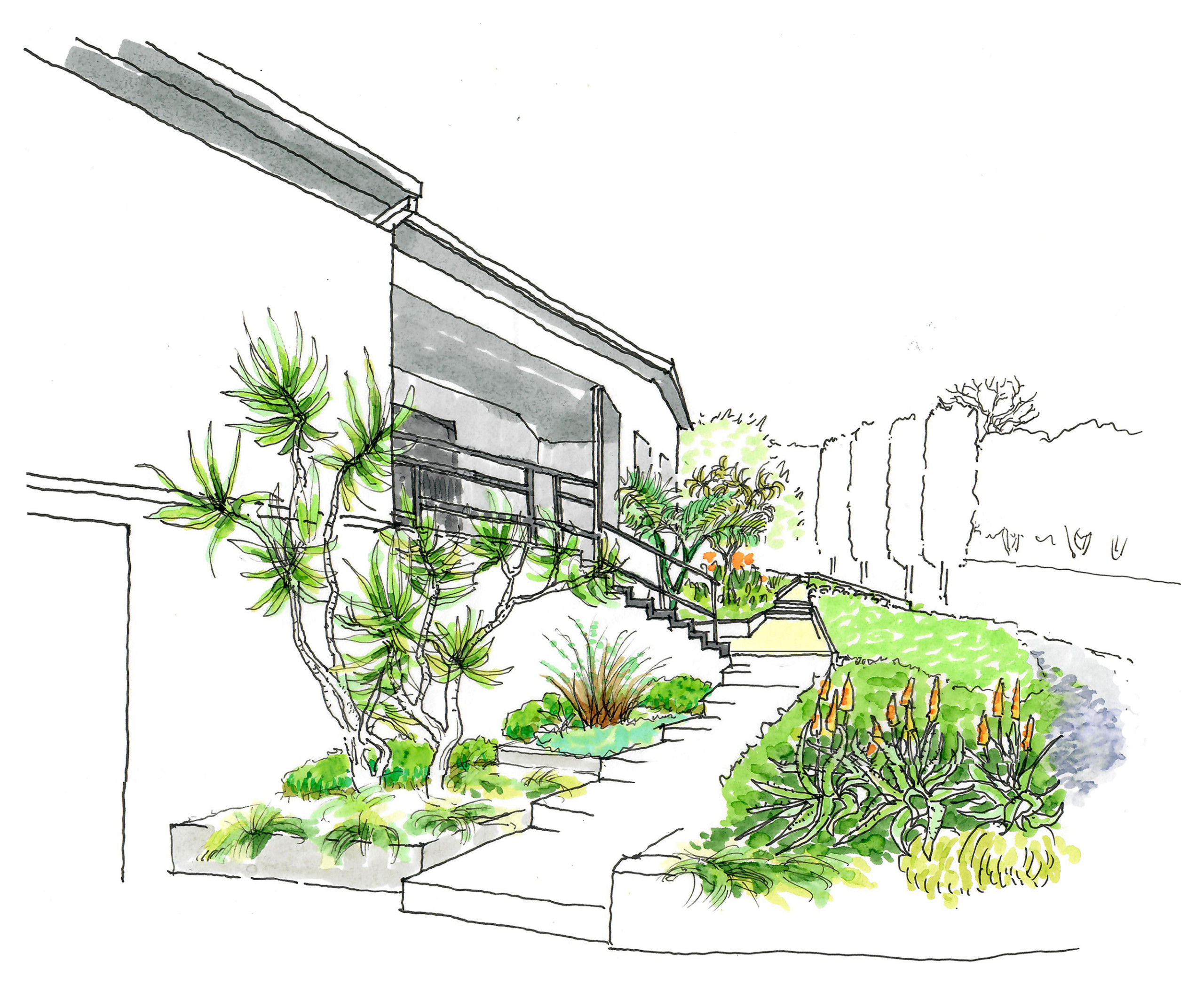 Reframing Arrival: A New Landscape Path in San Anselmo