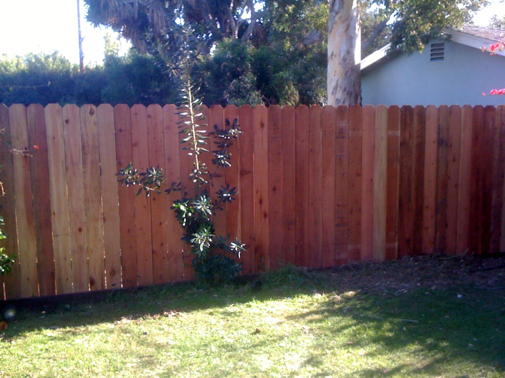 Photo of a mid-sized traditional backyard garden in Los Angeles.