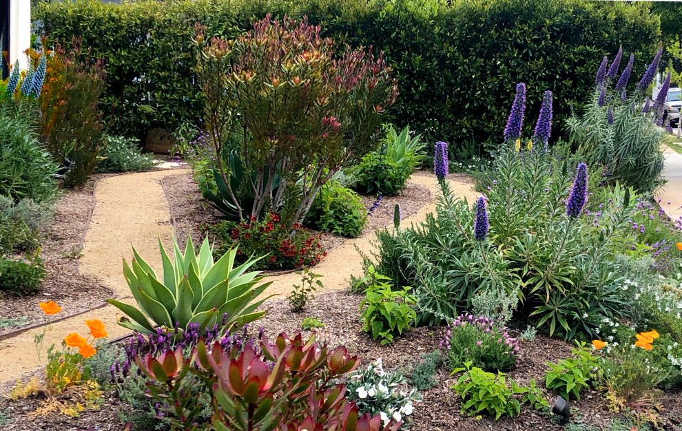 Mittelgroßer Mediterraner Vorgarten im Frühling mit Wasserspiel, direkter Sonneneinstrahlung und Natursteinplatten in Los Angeles